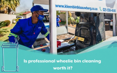 Is professional wheelie bin cleaning worth it?